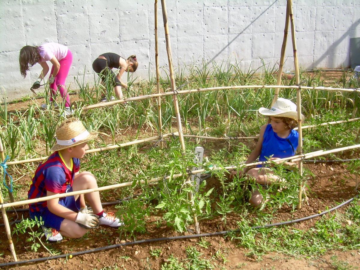 Escolares en un huerto ecológico.