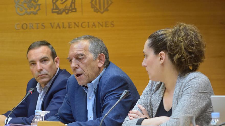 El secretario autonómico de Educación, Miquel Soler, durante su comparecencia en las Corts.