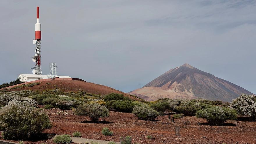 El retamar del Teide se encuentra al borde del colapso por el calor y la sequía