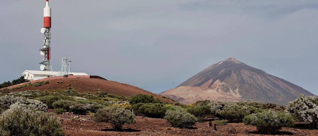 El retamar del Teide visto desde Centro de Investigaciones Atmosféricas de Izaña.