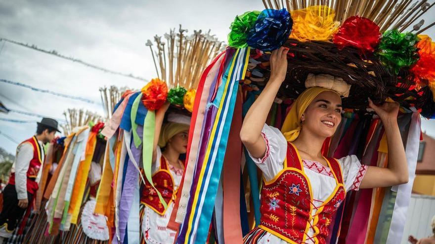 Subida de los cestos y bollos de Santa Bárbara (Icod de los Vinos)