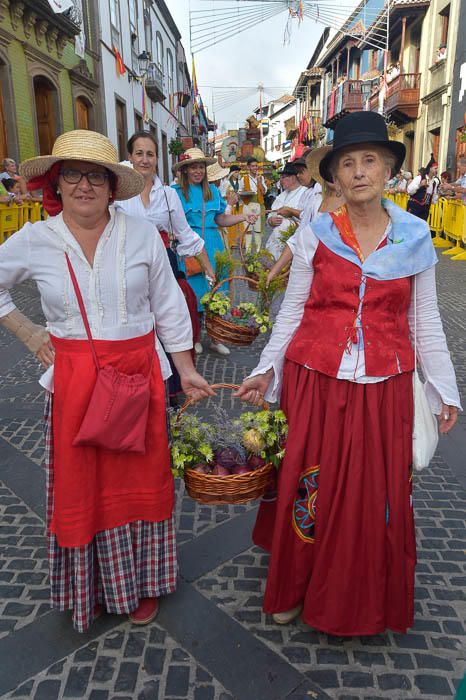 Carretas y grupos en la romería del Pino