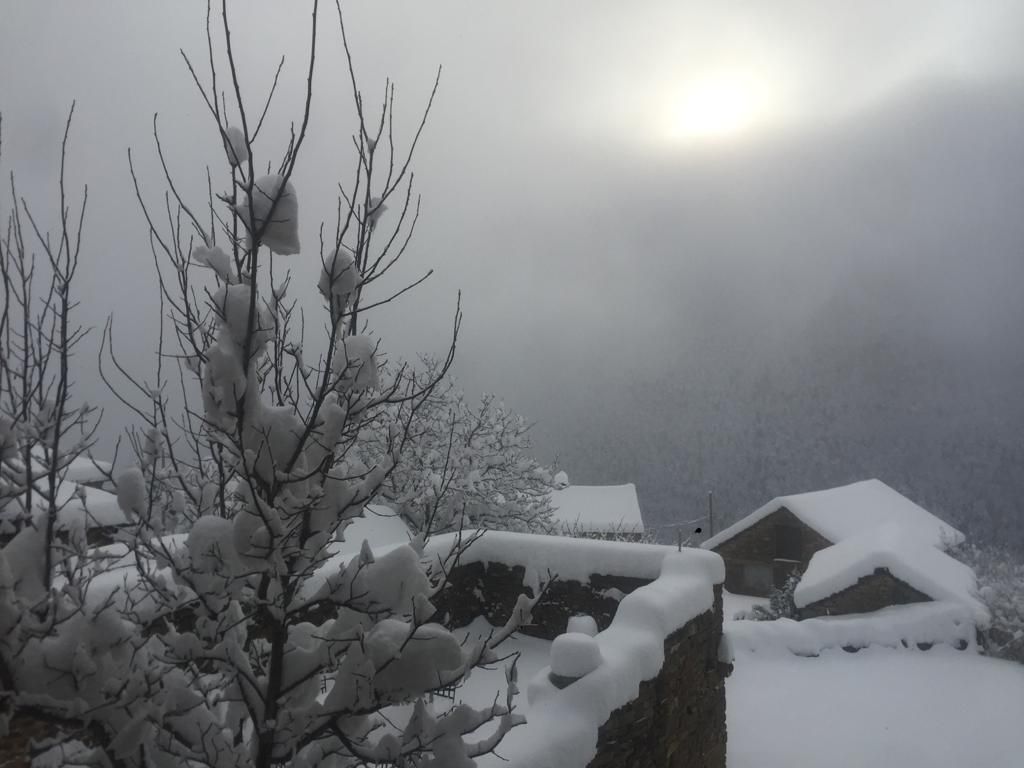 El azote del invierno en Aragón