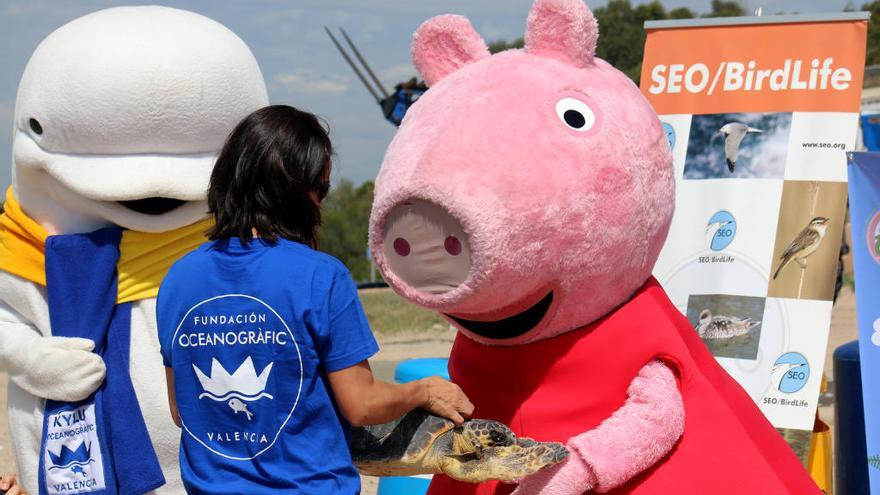 Peppa Pig suelta una tortuga marina en València