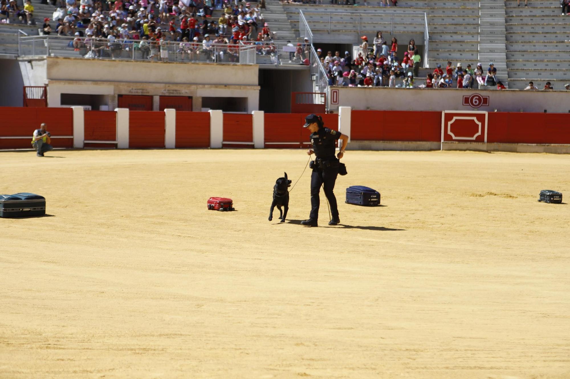 Ehibición policial en Lorca por su 200 aniversario