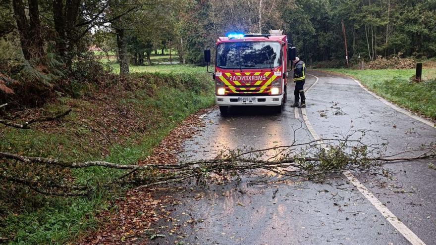 Emerxencias Lalín retira árboles caídos y sofoca el fuego en una camioneta