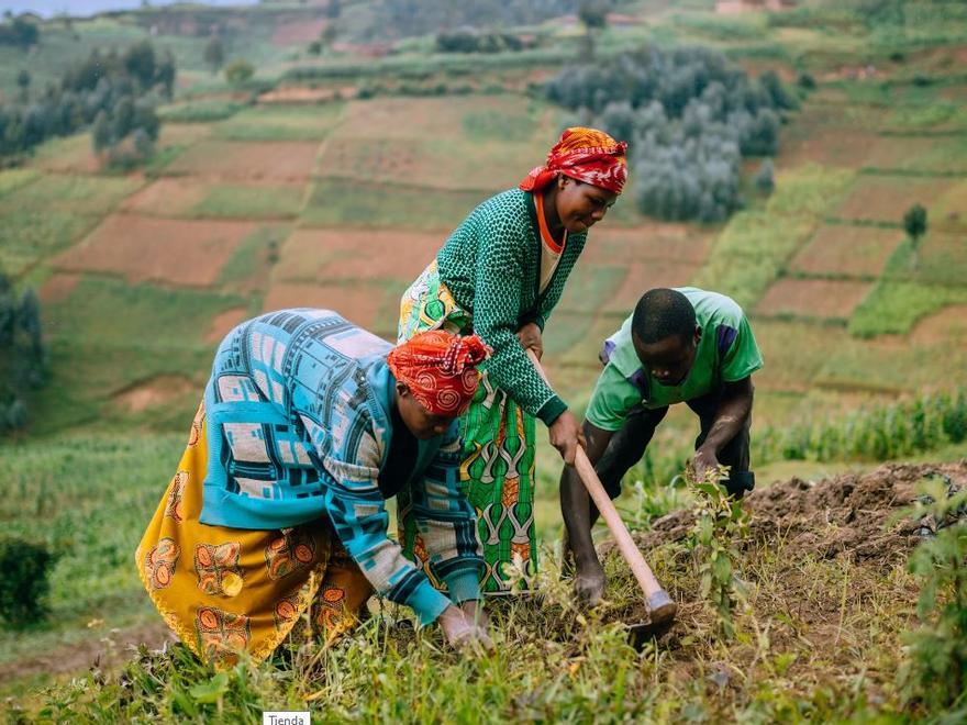 El gran proyecto de reforestación de África podría ser ecológicamente inadecuado