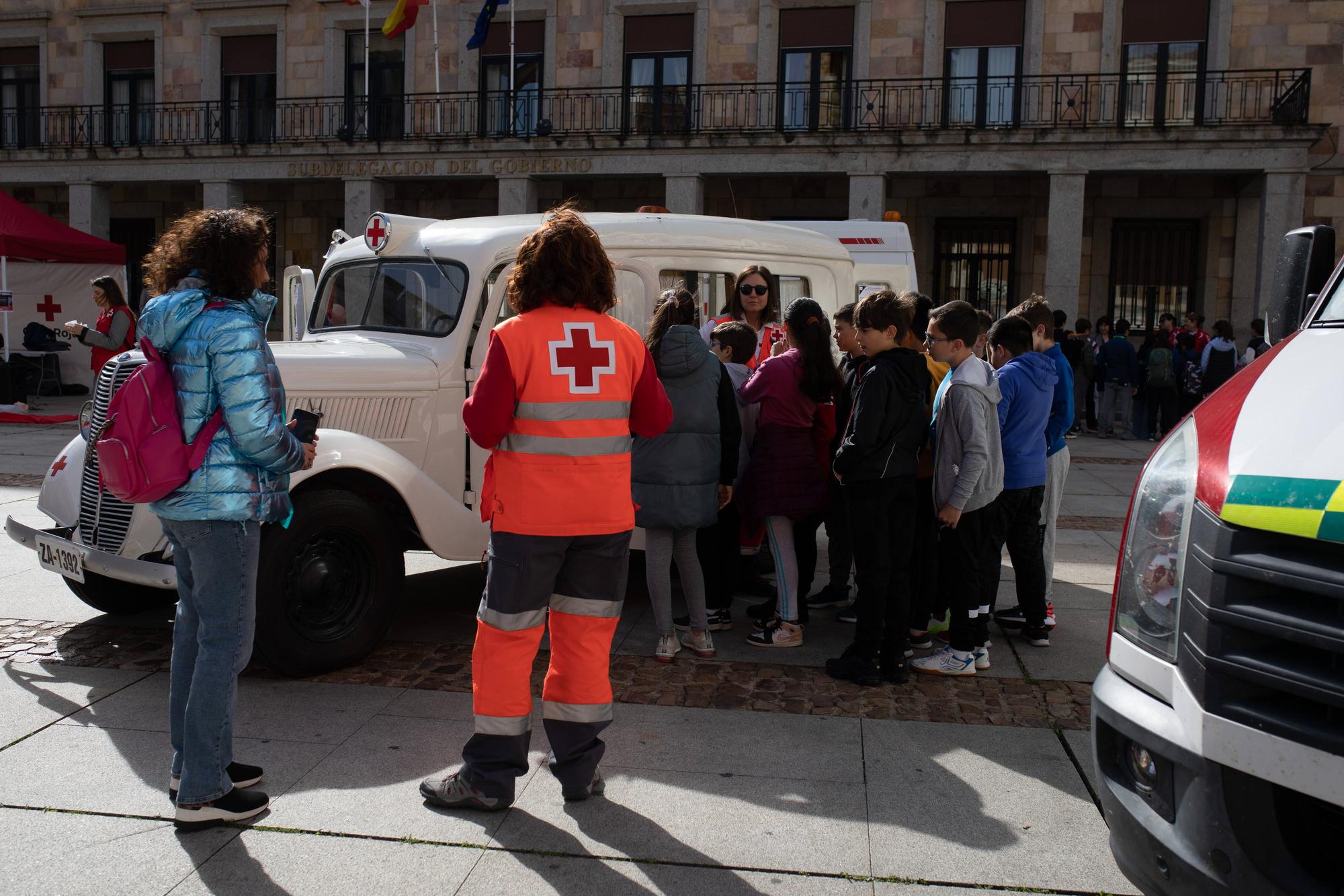 Zamora. Día de la Banderita de Cruz Roja 2024