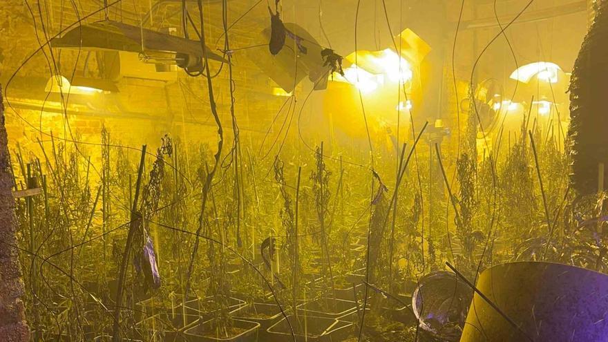 Aragón registró el pasado año 14 casos de fraude eléctrico en plantaciones de marihuana