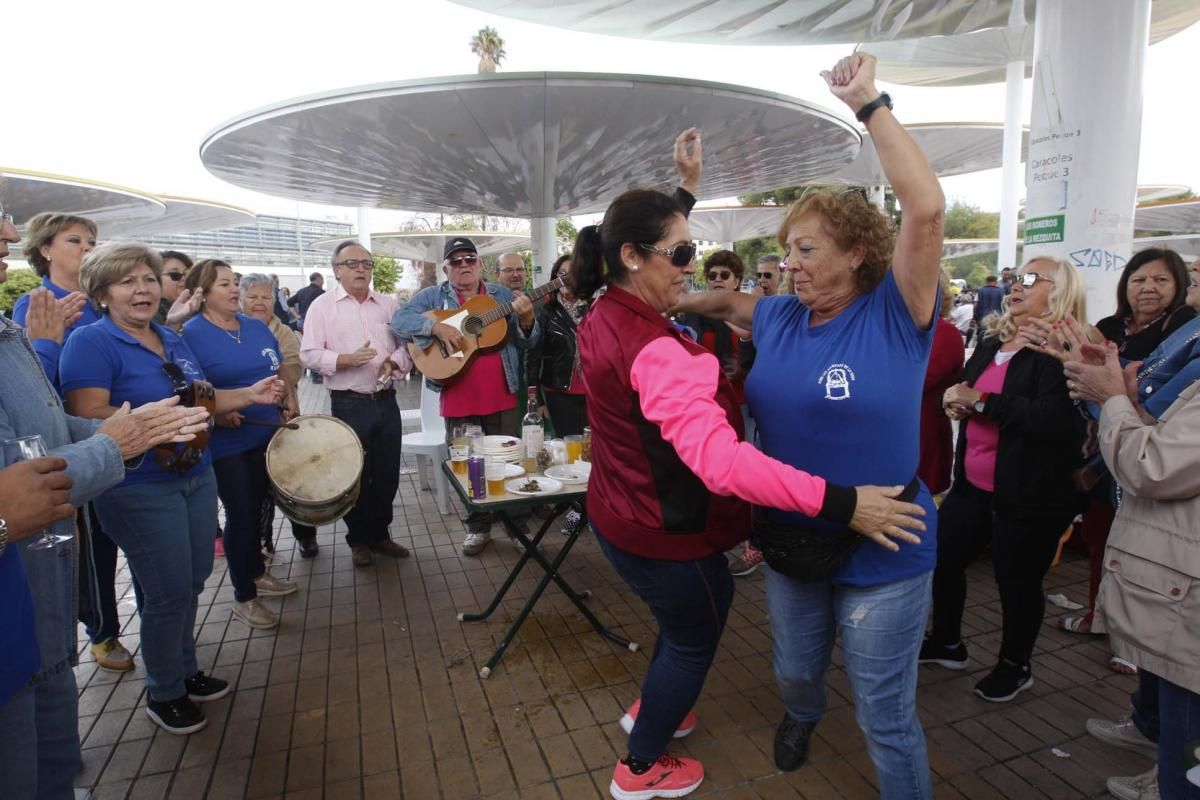 La Federación de Peñas celebra su día de convivencia