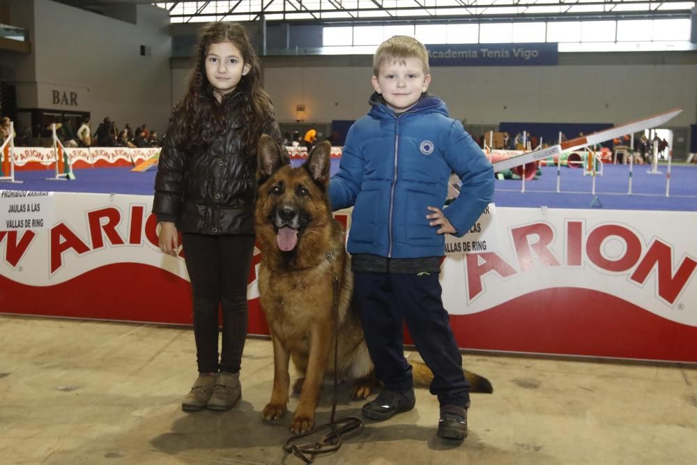 La exposición canina vuelve a contagiar la fiebre perruna en Vigo