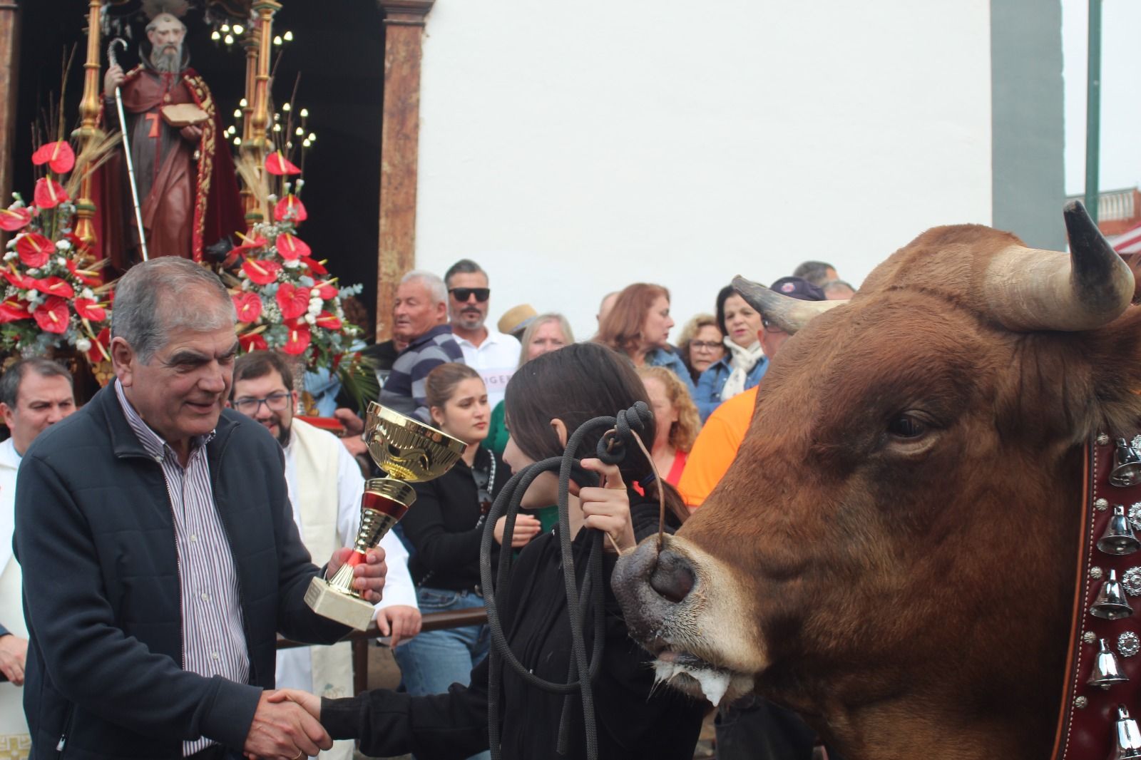 Romería de San Antonio Abad, en La Matanza