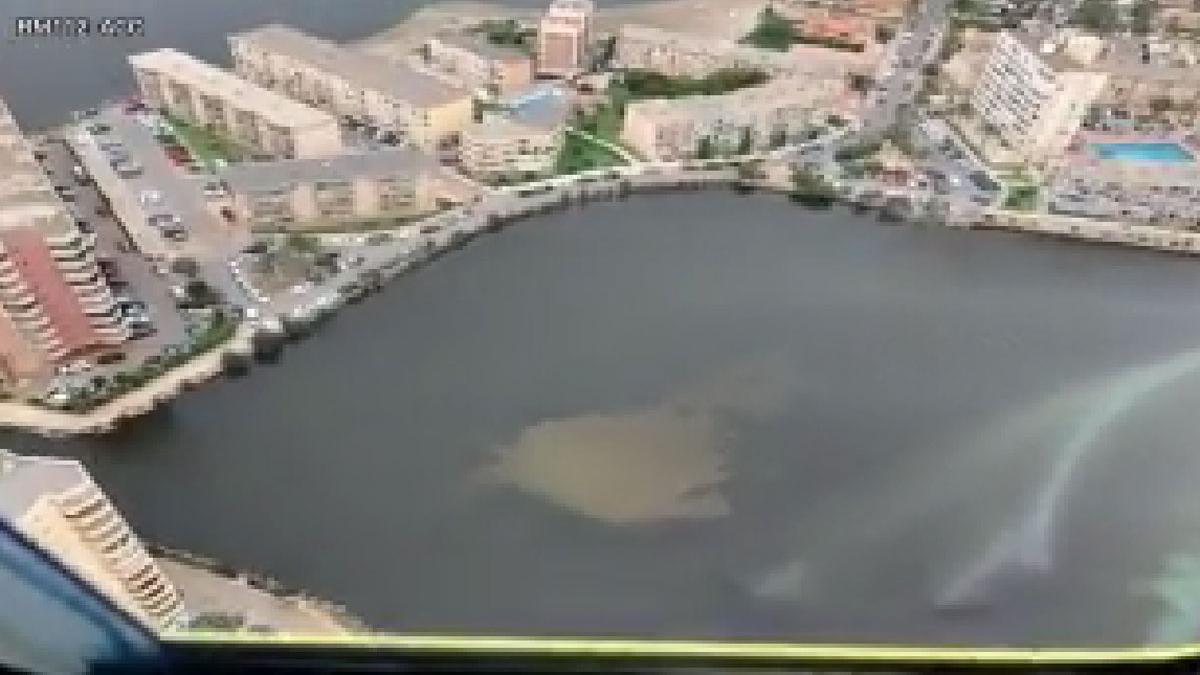 La bolsa anóxica con materia en descomposición que causa la muerte de los peces del Mar Menor