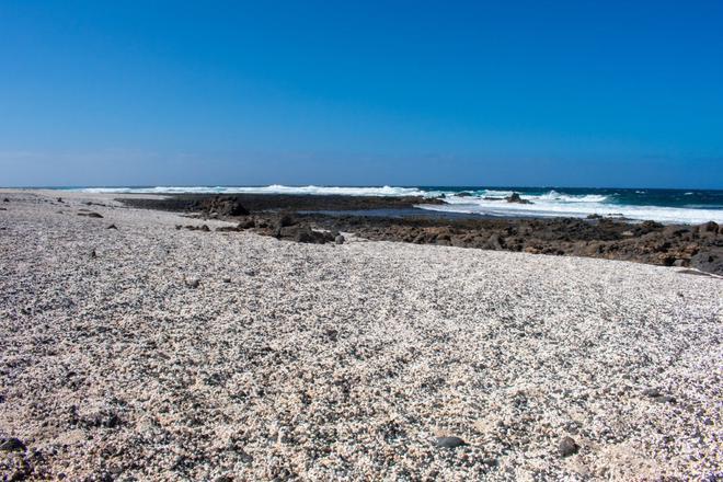 Playa de las palomitas, Fuerteventura