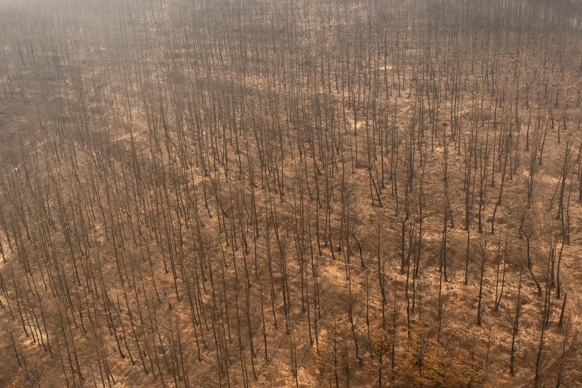 Al menos a 26 personas muertas en una nueva ola de incendios en Grecia