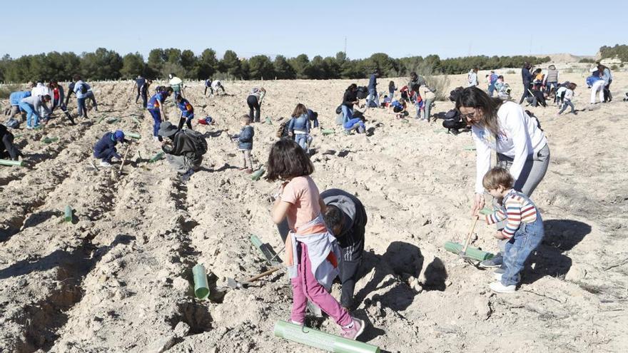 Más de 120 personas participan en la plantación del Bosque de los Zaragozanos en los terrenos de San Gregorio