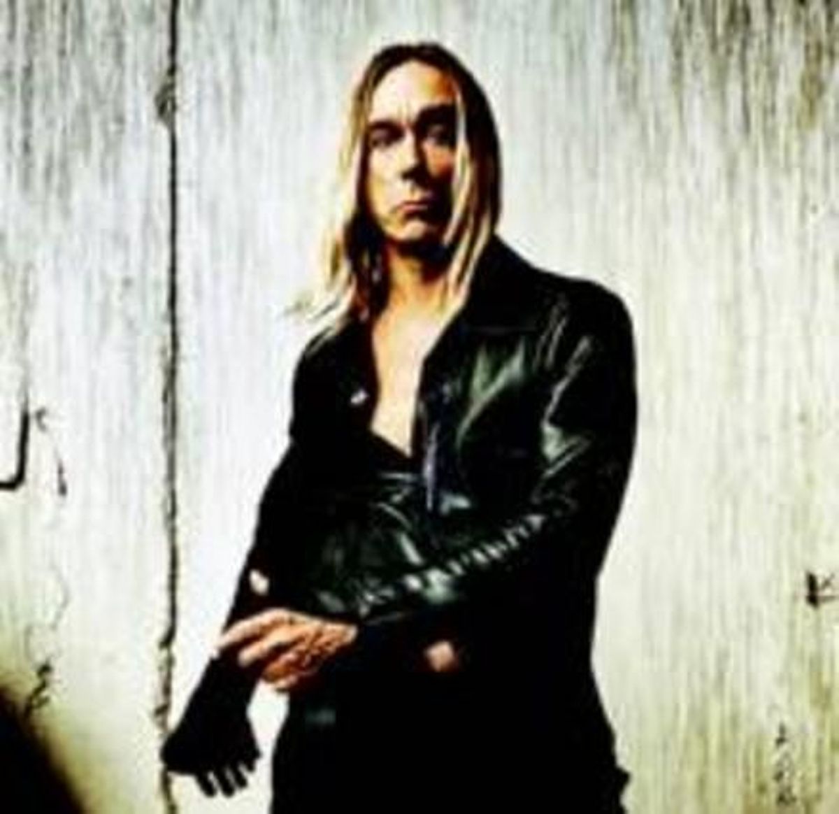 LA FERA DEL ROCK  61 ANYS  NASCUT A MICHIGAN  EL SEU VERDADER NOM ÉS JAMES OSTERBERG