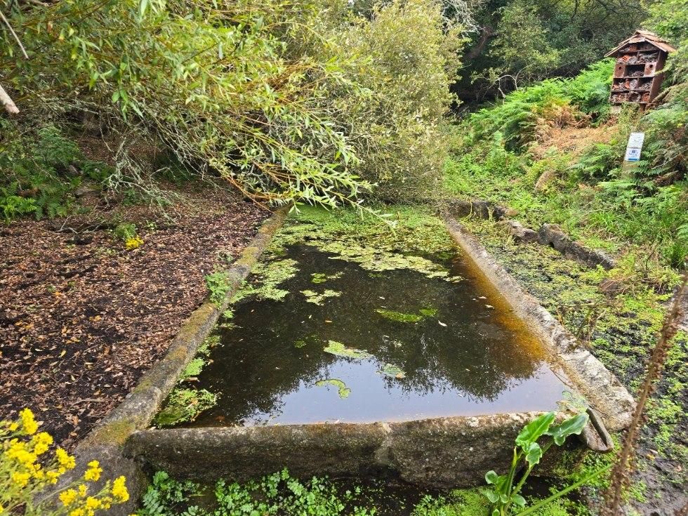 La isla de Sálvora, una de las joyas del Parque Nacional de las Islas Atlánticas de Galicia.