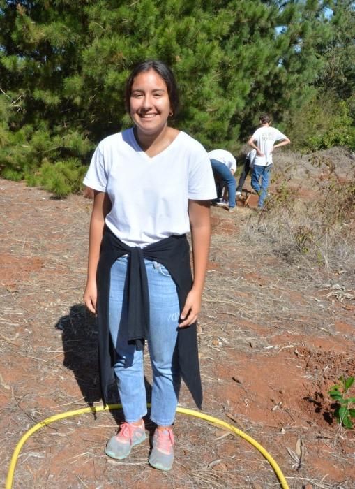 REPOBLACIÓN FORESTAL FONTANALES MOYA