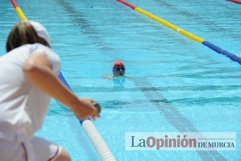 Natación: Trofeo Ciudad de Murcia