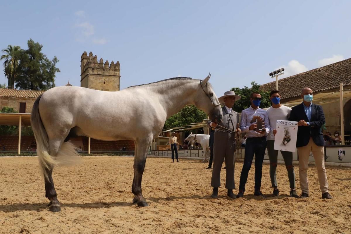 Cabalcor 2020: entrega de premios especiales