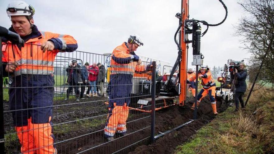 Dinamarca refuerza su frontera contra los jabalís de Alemania