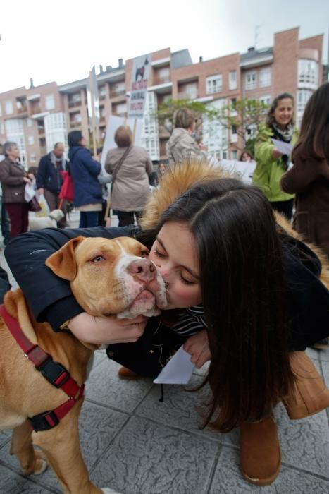 Manifestación contra el maltrato animal