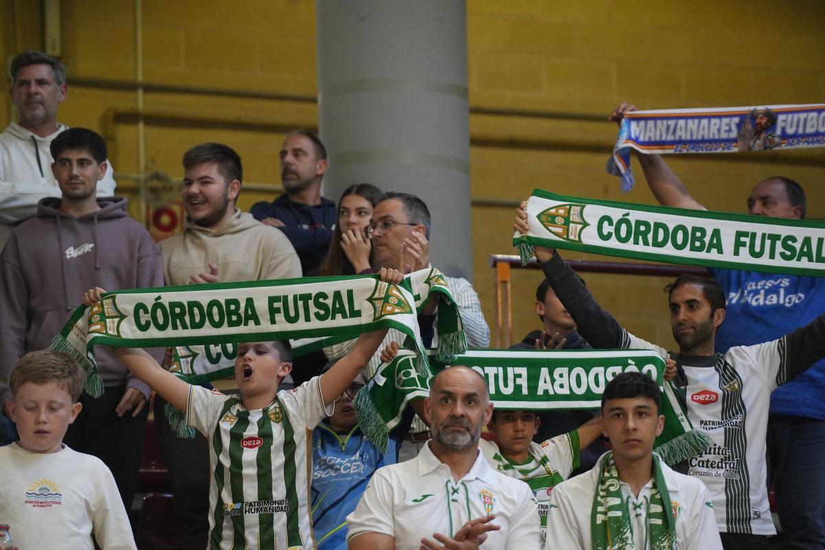 El Córdoba Futsal - Quesos El Hidalgo Manzanares, en imágenes