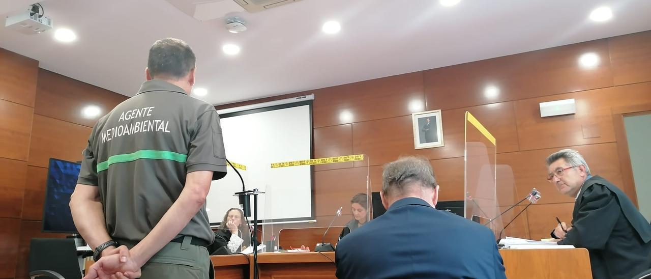 El acusado durante el juicio escucha el testimonio de un forestal.