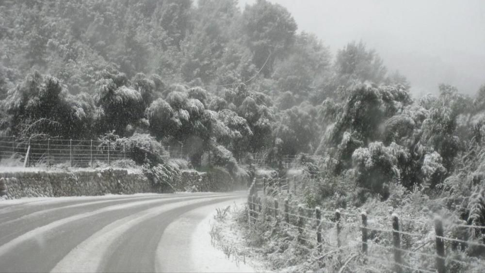 Wegen des Schneefalls wurden am Freitag Straßenabschnitte in der Tramuntana gesperrt.
