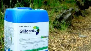 La UE fracasa en su intento de renovar diez años la autorización del pesticida glifosato
