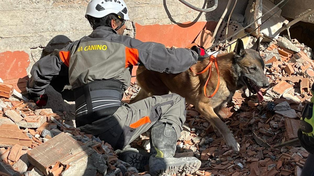 Miguel de Prado con el perro &quot;Chuli&quot; rastrea los escombros.