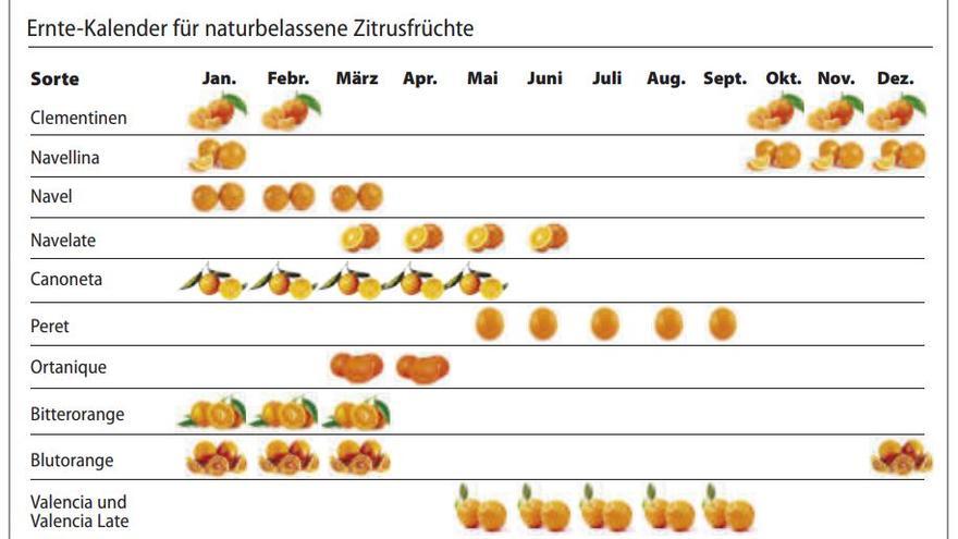 Ernte-Kalender für naturbelassene Zitrusfrüchte