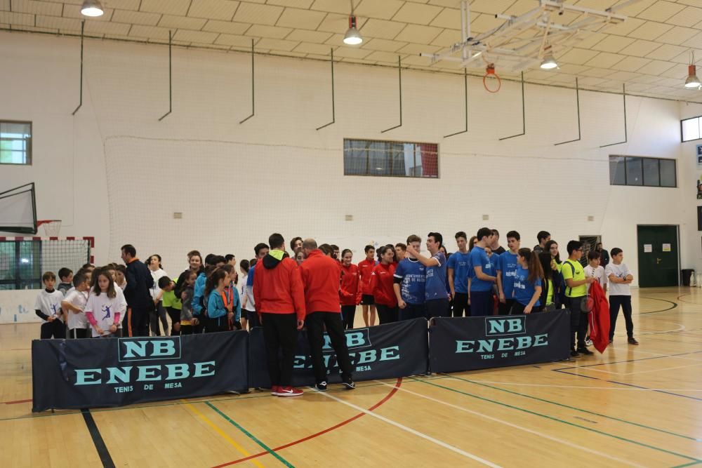 Final Regional de bádminton de Deporte Escolar