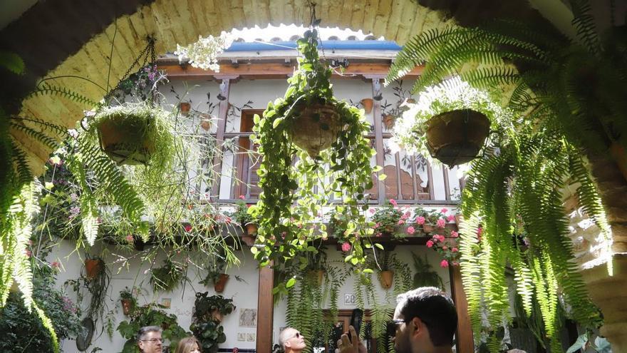 Los patios del Alcázar Viejo, en imágenes