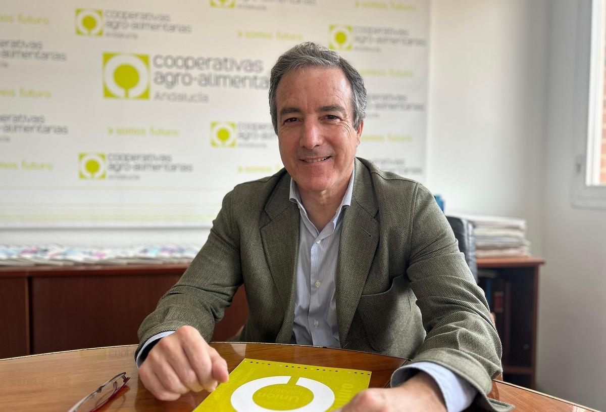 El director general de Cooperativas Agro-alimentarias de Andalucía, Jaime Martinez Conradi.