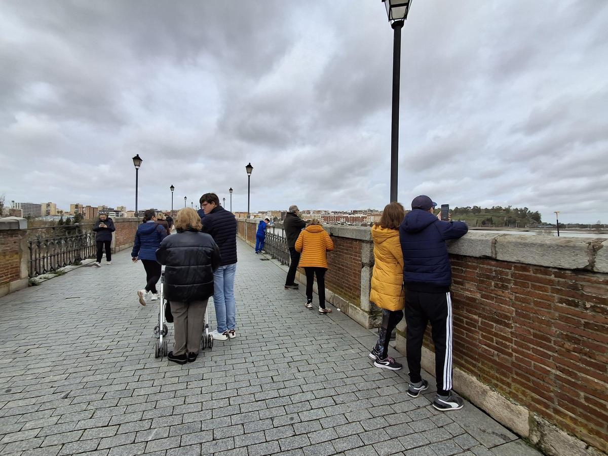 Fotogalería | El buen tiempo devuelve a los pacenses al río