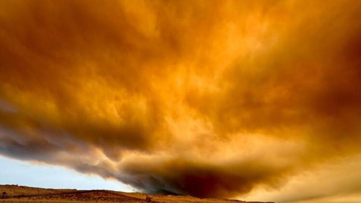CAMBIO CLIMÁTICO / Europa podría triplicar la superficie afectada por incendios forestales a finales de siglo