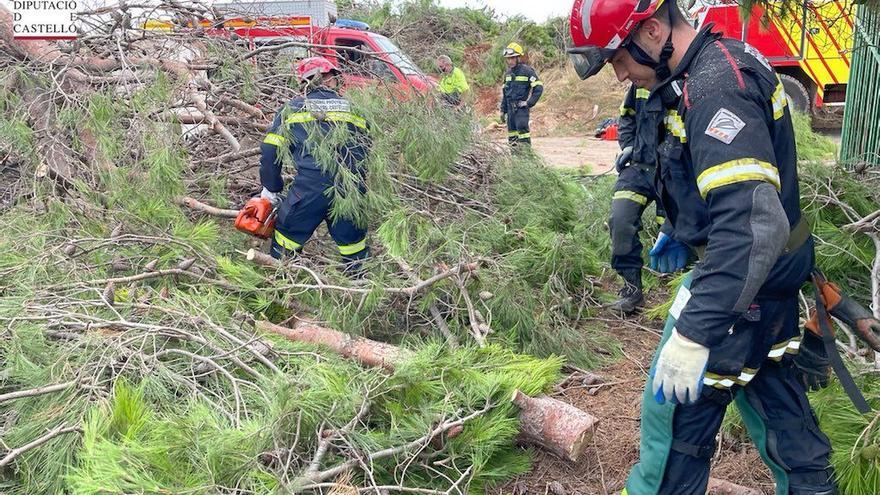 Los bomberos del Consorcio trabajaban este martes en la retirada de árboles caídos en Moncofa