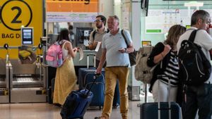 Consumo ha impuesto una multa de 179 millones a Ryanair, Vueling, EasyJet, Volotea y Norwegian por prácticas abusivas como cobrar el equipaje de mano
