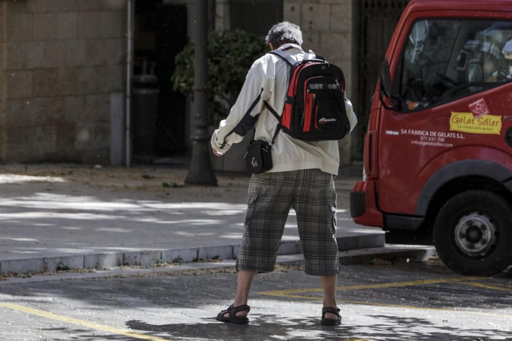 Patinando entre la cera y el polen en Palma