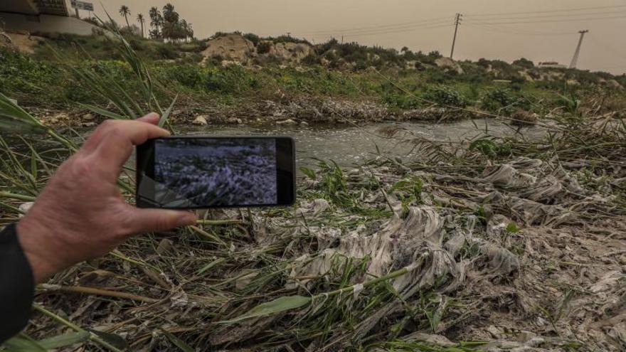 Los vertidos que se quedan enganchados en la vegetación bajo el puente de la Ronda Sur. | ANTONIO AMORÓS