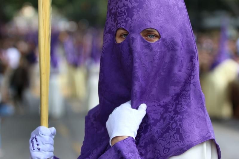 Domingo de Ramos de 2016 | Pollinica