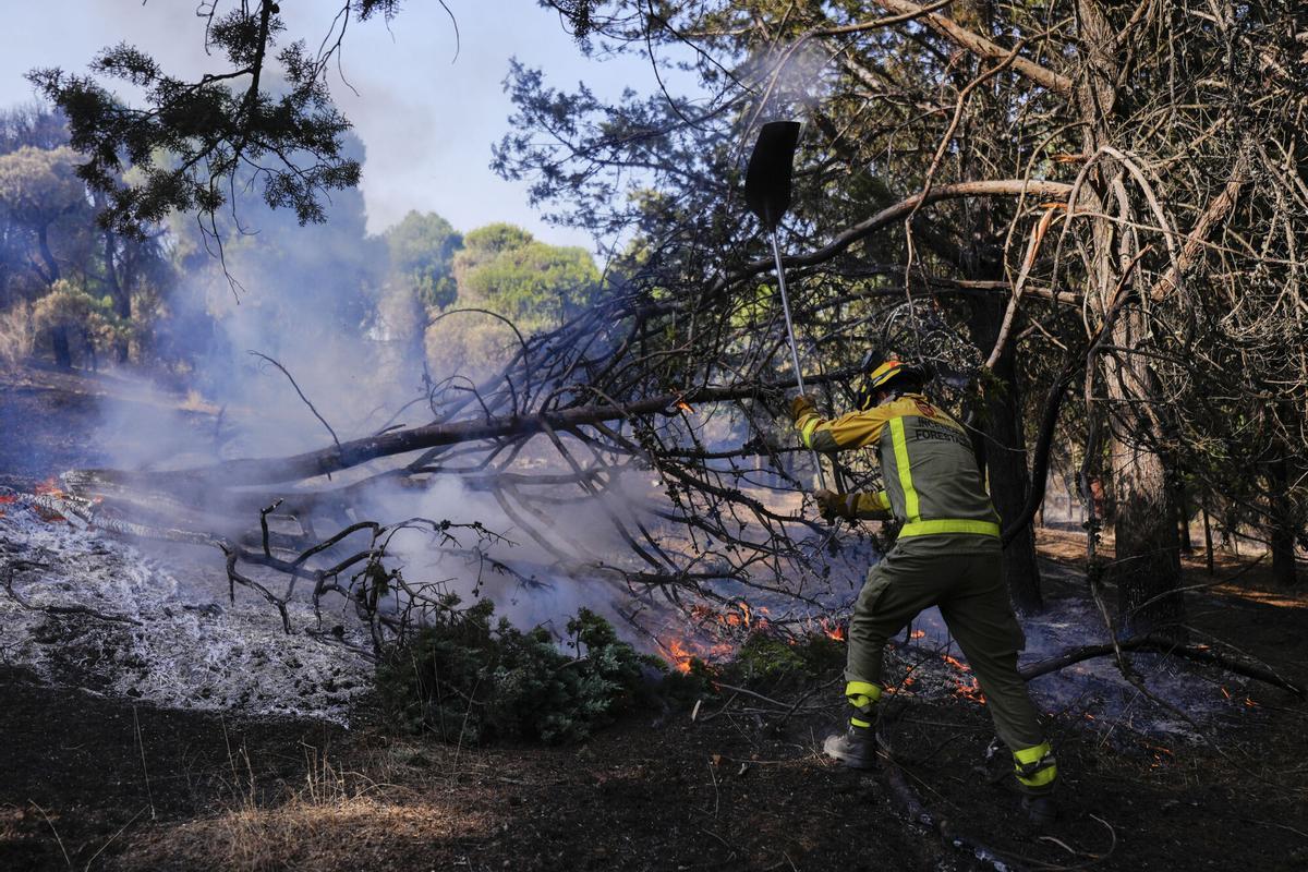 PELAYOS DE LA PRESA (MADRID), 28/07/2026.- Bomberos trabajan en la zona afectada por el incendio del oeste de la Comunidad de Madrid en la localidad de Pelayos de la Presa, donde está cortada la carretera M-5421. Los incendios forestales que permanecen activos en varios puntos de España mantienen cortadas un total de 42 carreteras en las provincias de Madrid, Ávila y Castellón, además de una carretera cortada en León y dos en Toledo.EFE/ Borja Sánchez-trillo