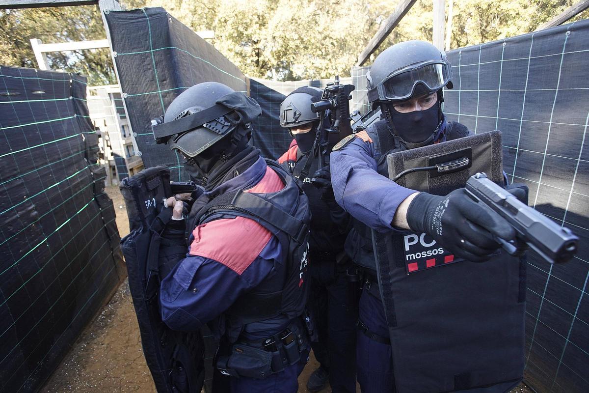 Així treballa i entrena l'ARRO dels Mossos de la regió policial de Girona