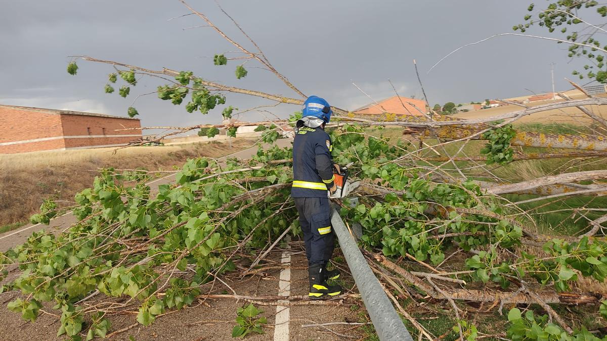 El bombero corta el tronco del árbol caído en esta carretera.