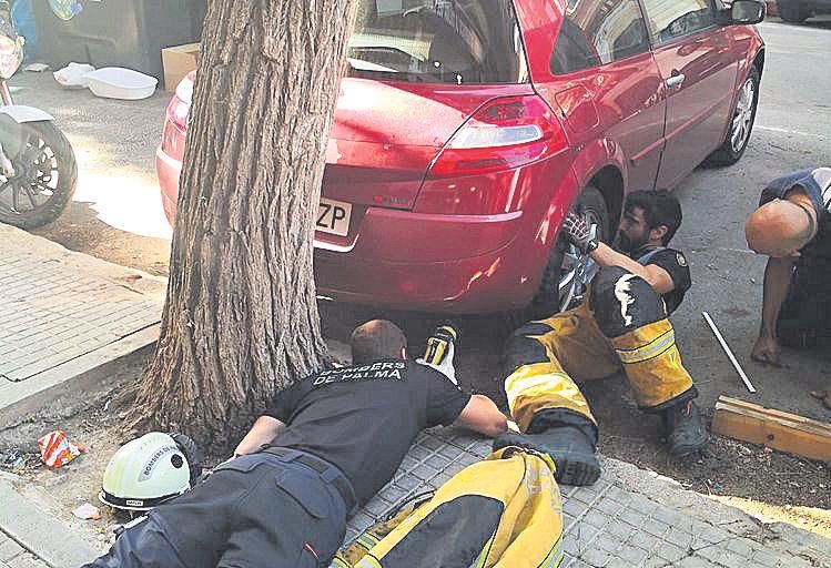 Complicado rescate de un gato en el interior de un coche en Palma.