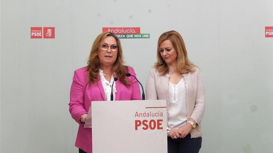 El PSOE se compromete a garantizar &quot;una sanidad pública, universal y de calidad&quot;