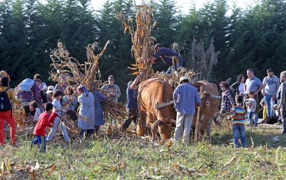 Cientos de vecinos de acercan al entorno del molino de Regueira para disfrutar de una jornada tradicional