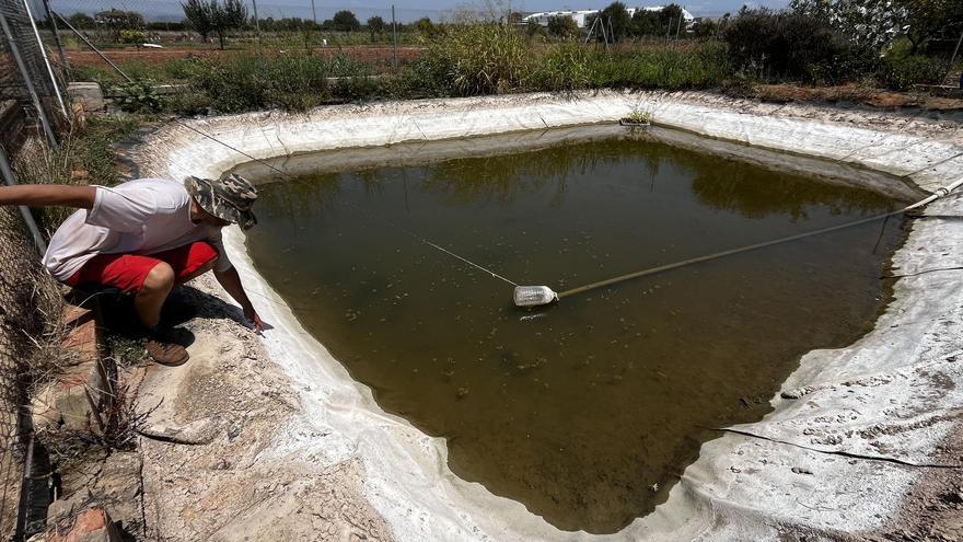 La sequía pone en jaque un proyecto de agricultura ecológica en Castellón